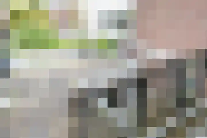 Raam 155 Gouda thumbnail 19