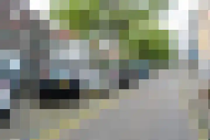 Raam 155 Gouda thumbnail 20