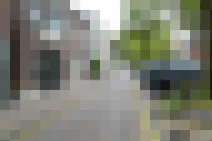 Raam 155 Gouda thumbnail 21