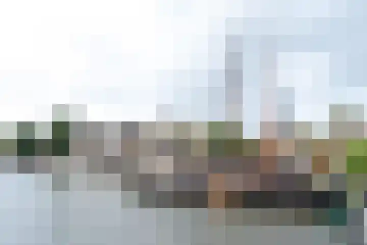 Raam 155 Gouda thumbnail 22