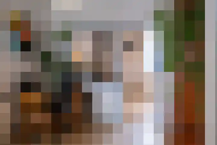 Raam 155 Gouda thumbnail 4