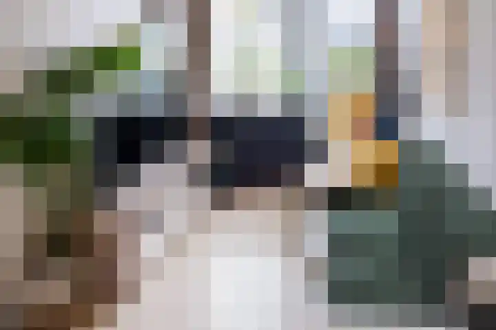 Raam 155 Gouda thumbnail 5