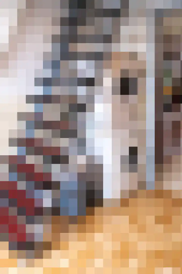 Raam 155 Gouda thumbnail 7