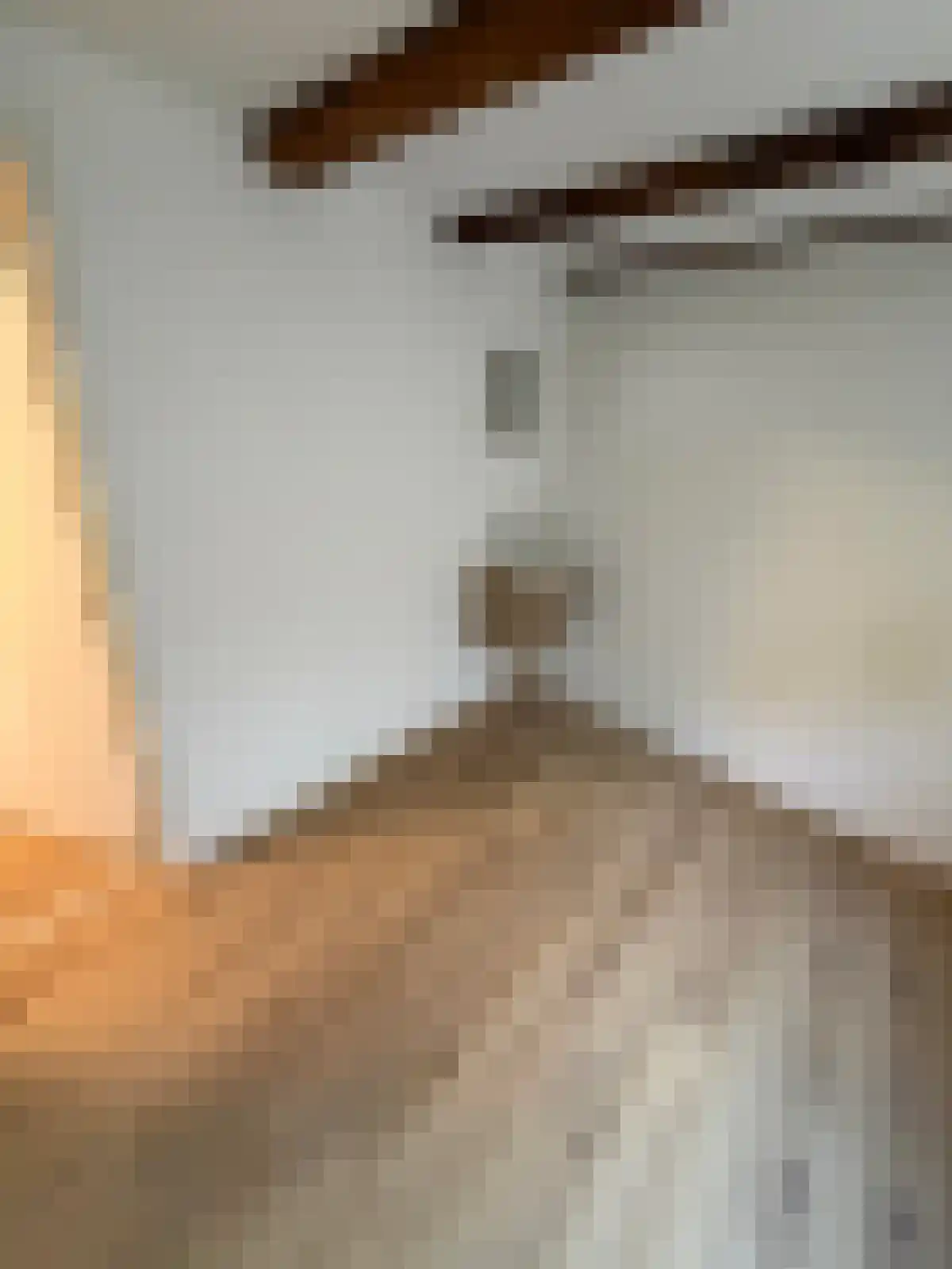 Raam 224 Gouda thumbnail 5