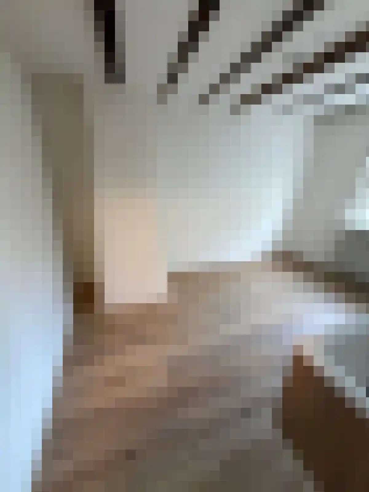 Raam 224 Gouda thumbnail 6