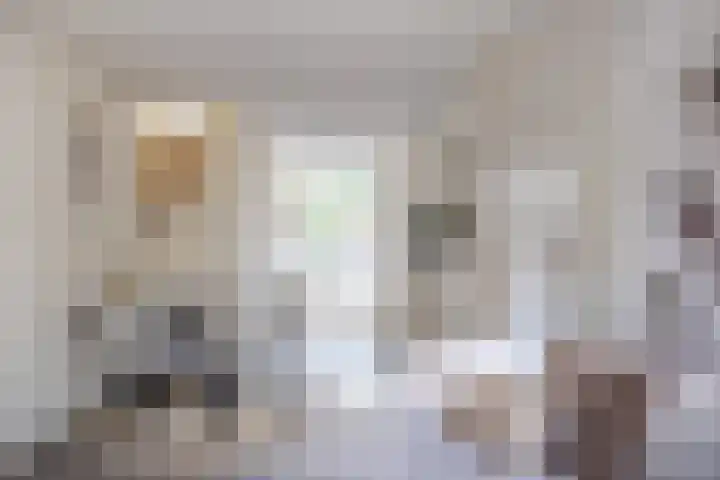 Raam 262 Gouda thumbnail 10