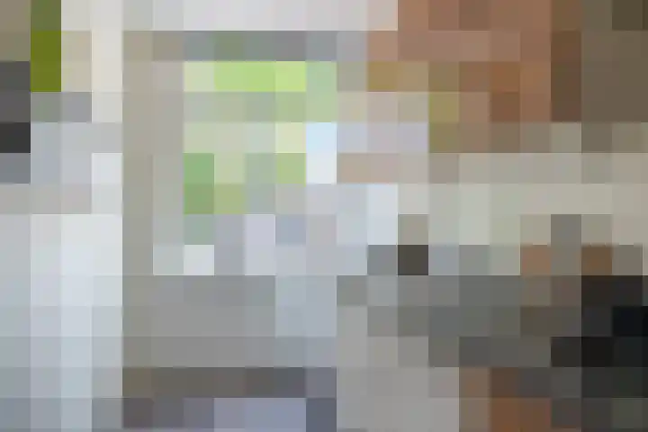 Raam 262 Gouda thumbnail 12