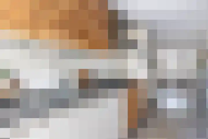 Raam 262 Gouda thumbnail 13