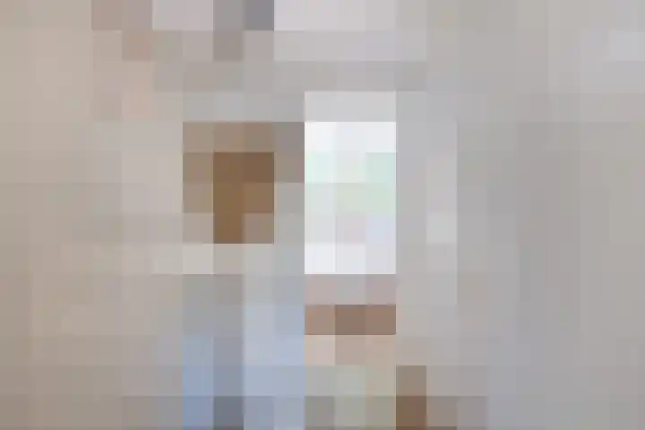 Raam 262 Gouda thumbnail 14
