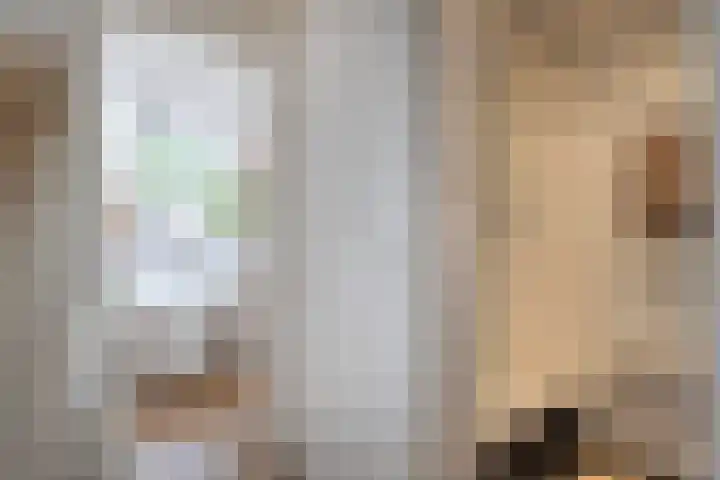 Raam 262 Gouda thumbnail 15