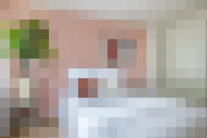 Raam 262 Gouda thumbnail 16