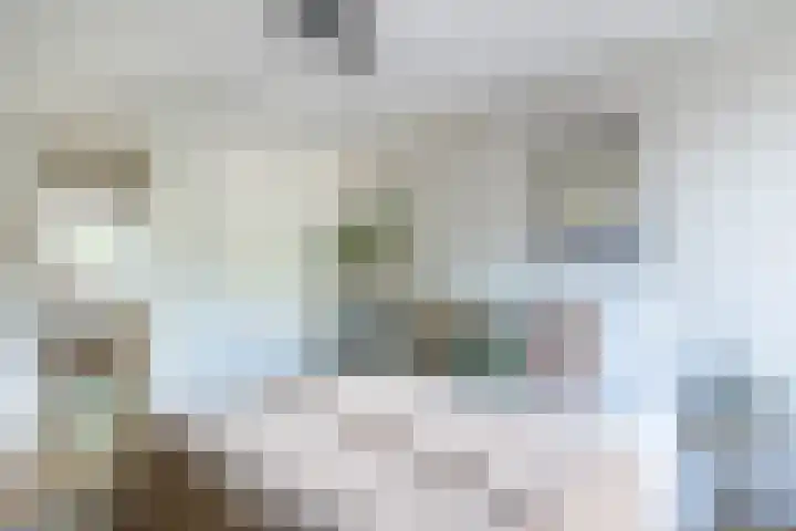 Raam 262 Gouda thumbnail 20