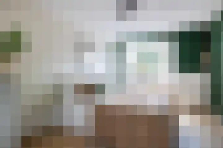 Raam 262 Gouda thumbnail 21