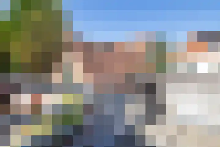 Raam 262 Gouda thumbnail 24