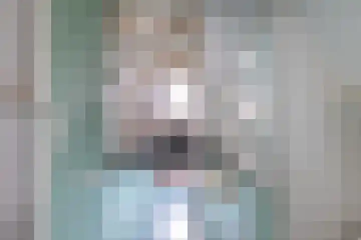 Raam 262 Gouda thumbnail 27