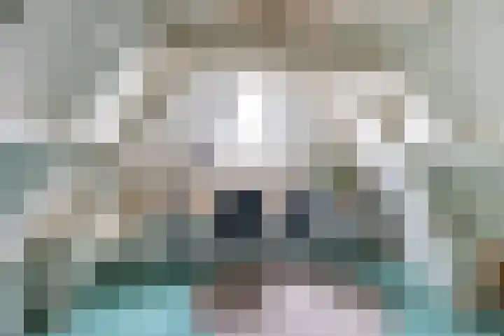 Raam 262 Gouda thumbnail 28