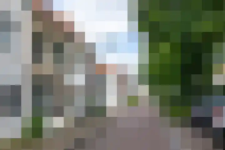 Raam 262 Gouda thumbnail 32