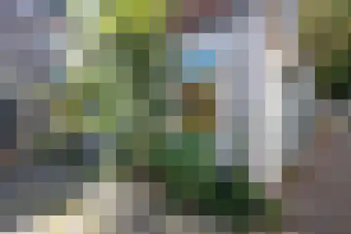 Raam 262 Gouda thumbnail 34