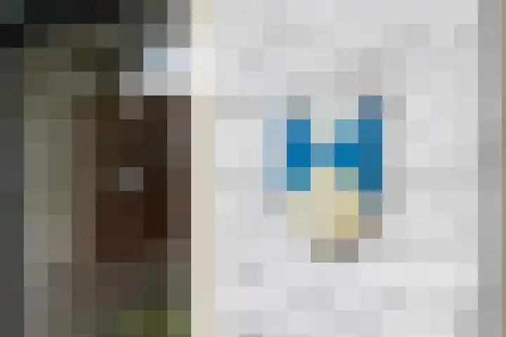 Raam 262 Gouda thumbnail 35