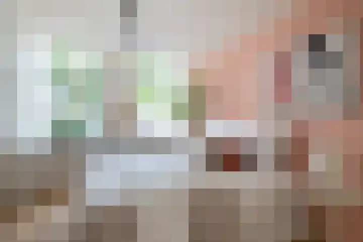 Raam 262 Gouda thumbnail 5