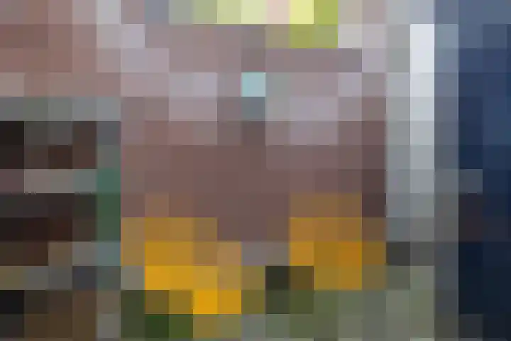 Raam 262 Gouda thumbnail 6