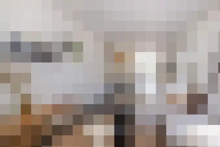 Raam 262 Gouda thumbnail 8