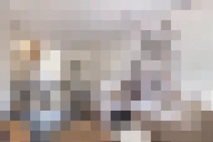 Raam 262 Gouda thumbnail 9