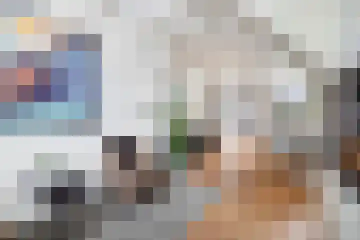 Raam 30 Delft thumbnail 10