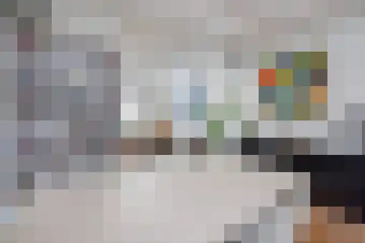 Raam 30 Delft thumbnail 12
