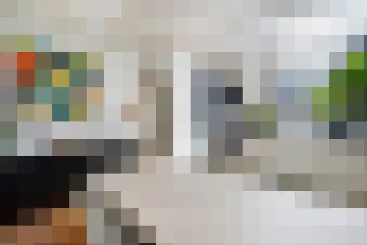 Raam 30 Delft thumbnail 13