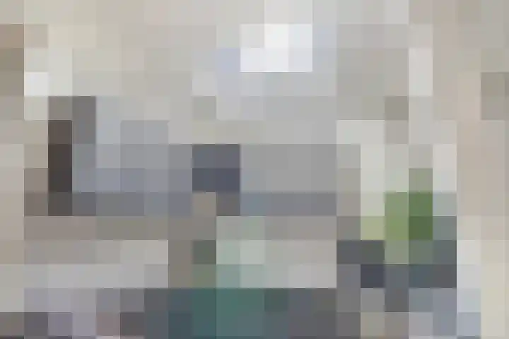 Raam 30 Delft thumbnail 16