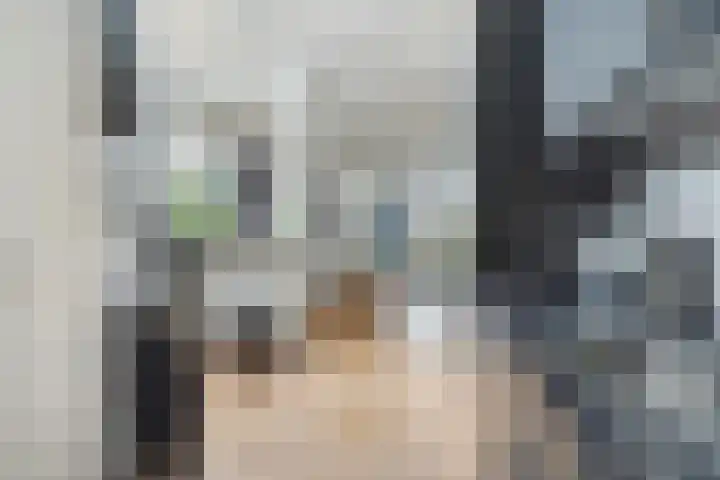 Raam 30 Delft thumbnail 17