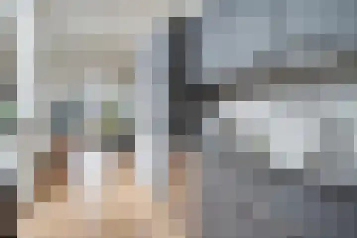 Raam 30 Delft thumbnail 18