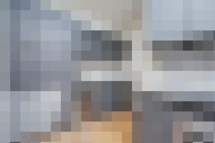 Raam 30 Delft thumbnail 21