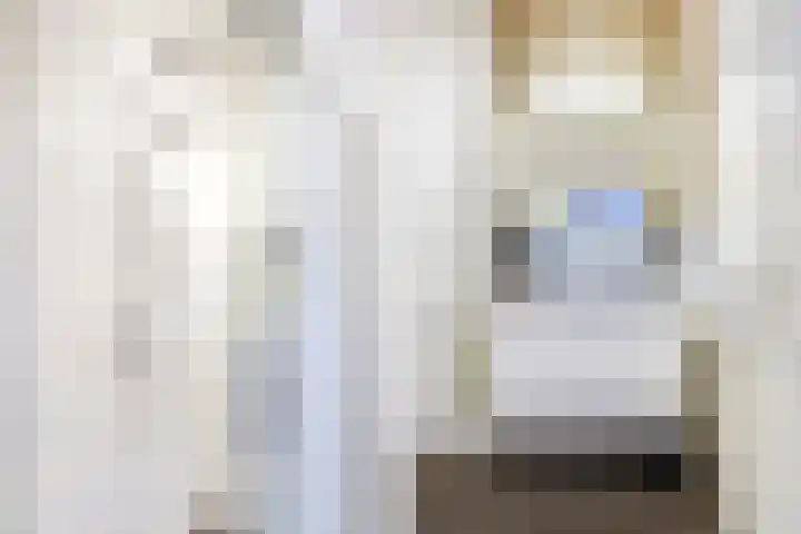 Raam 30 Delft thumbnail 22