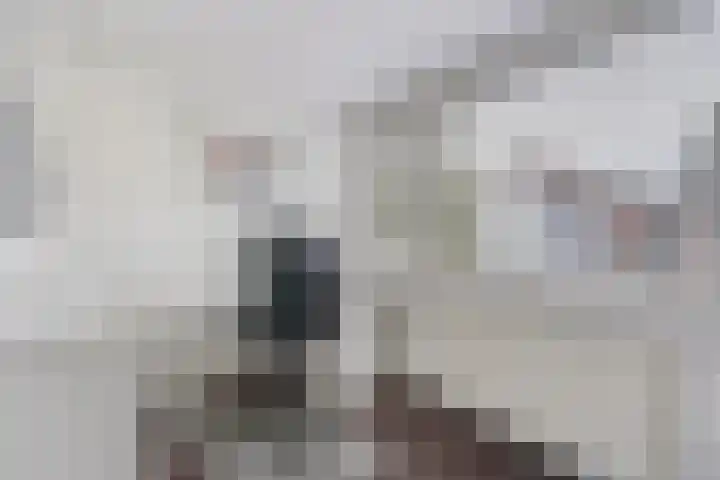 Raam 30 Delft thumbnail 32
