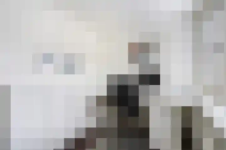 Raam 30 Delft thumbnail 33