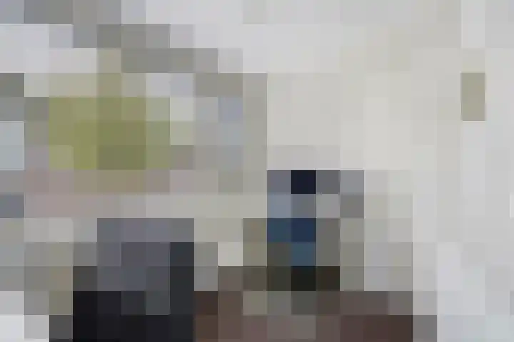Raam 30 Delft thumbnail 34