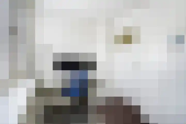 Raam 30 Delft thumbnail 35