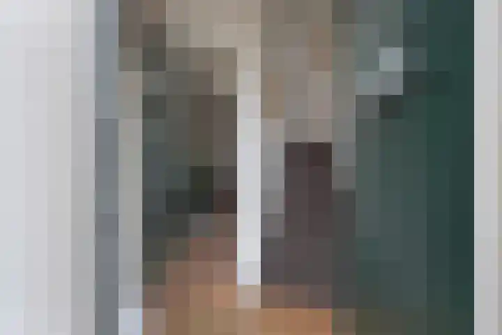 Raam 30 Delft thumbnail 6