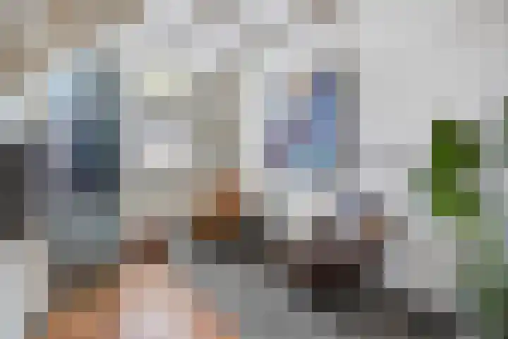 Raam 30 Delft thumbnail 7
