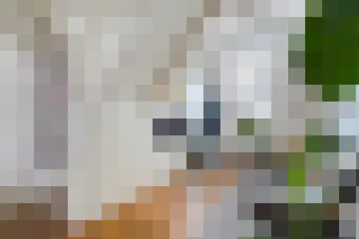 Raam 30 Delft thumbnail 8