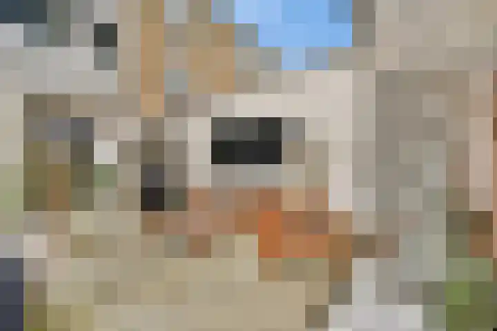 Raam 37 Gouda thumbnail 4