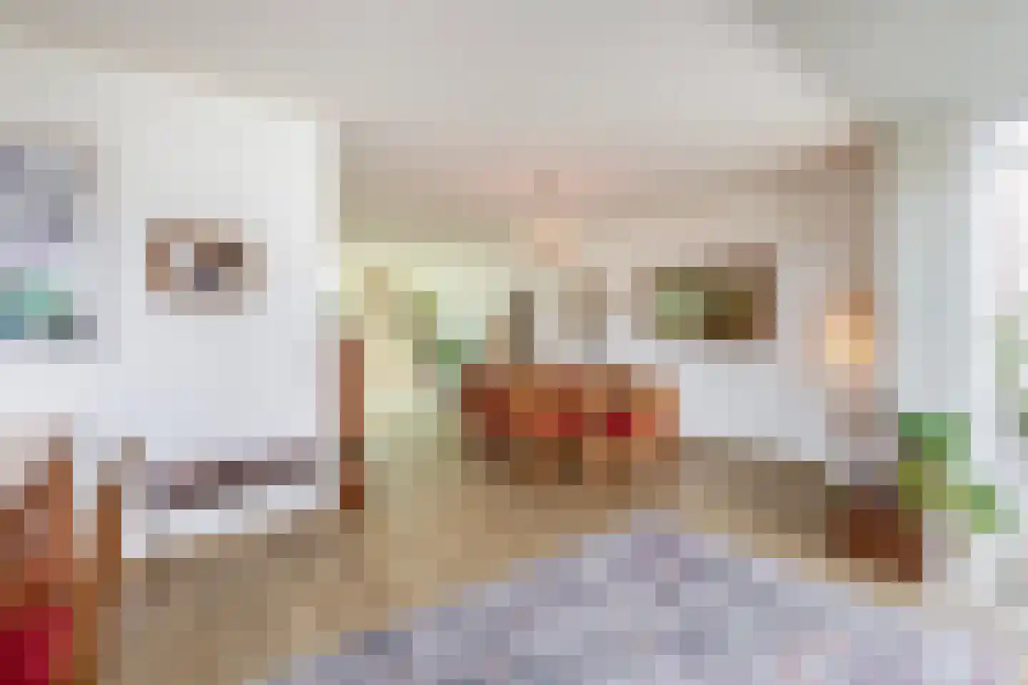 Raam 4 Kaatsheuvel thumbnail 12