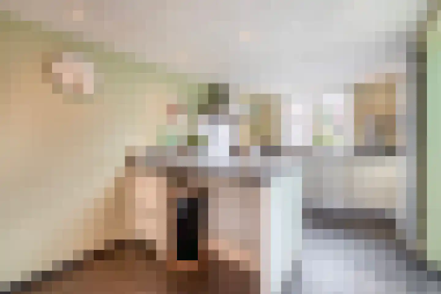Raam 4 Kaatsheuvel thumbnail 14