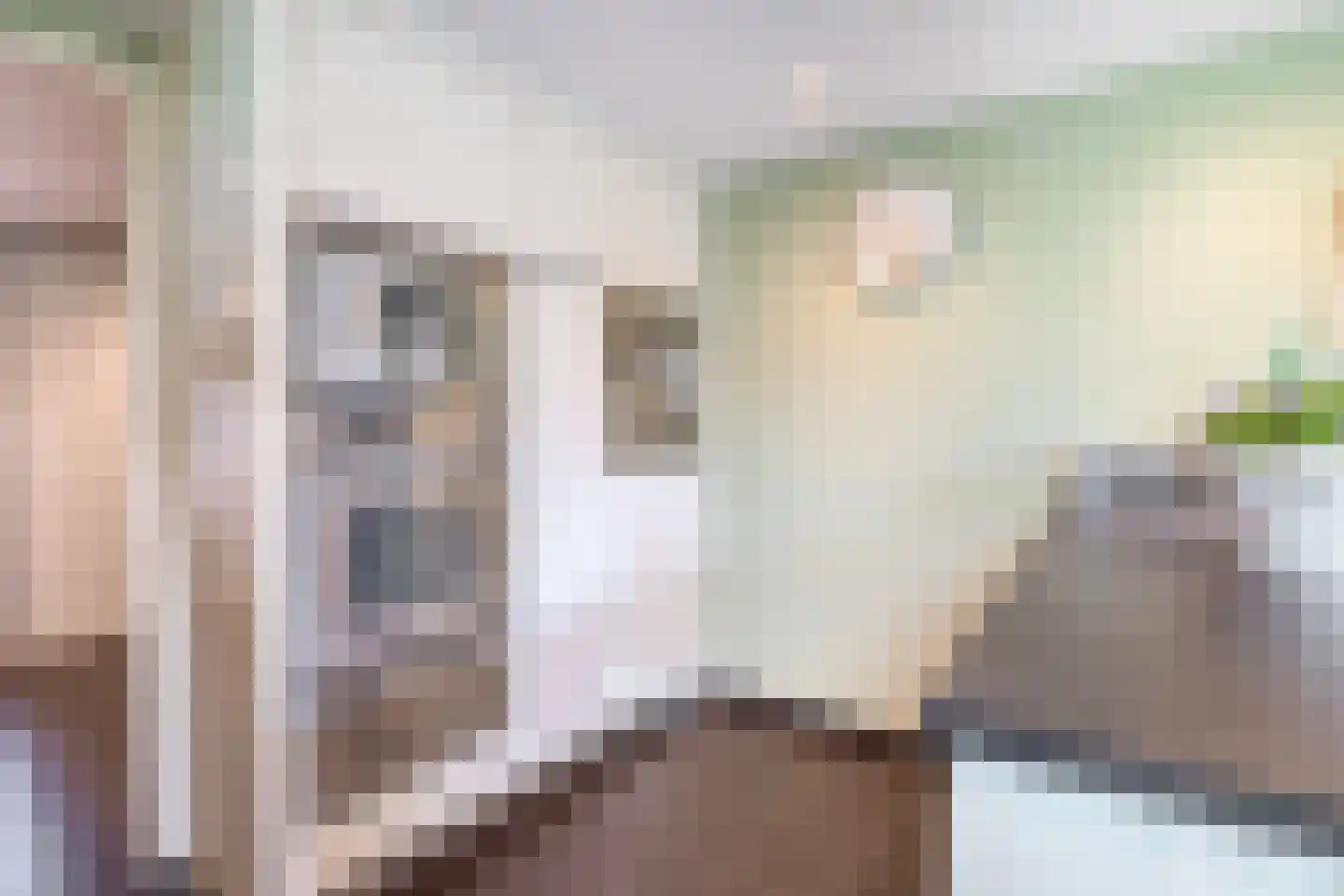 Raam 4 Kaatsheuvel thumbnail 15