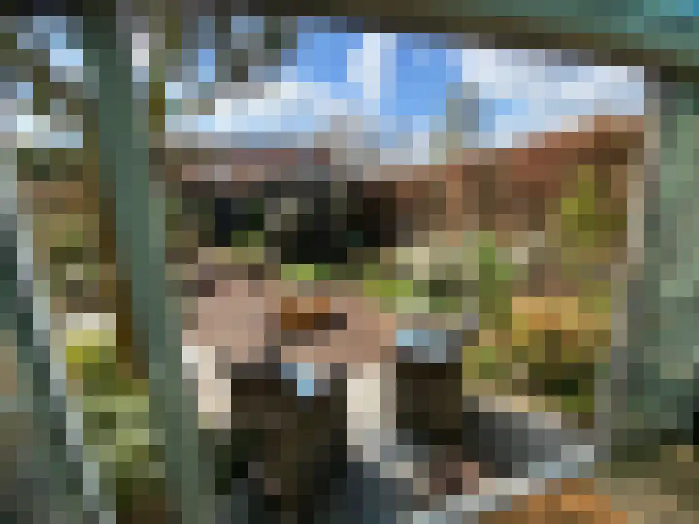 Raam 4 Kaatsheuvel thumbnail 20