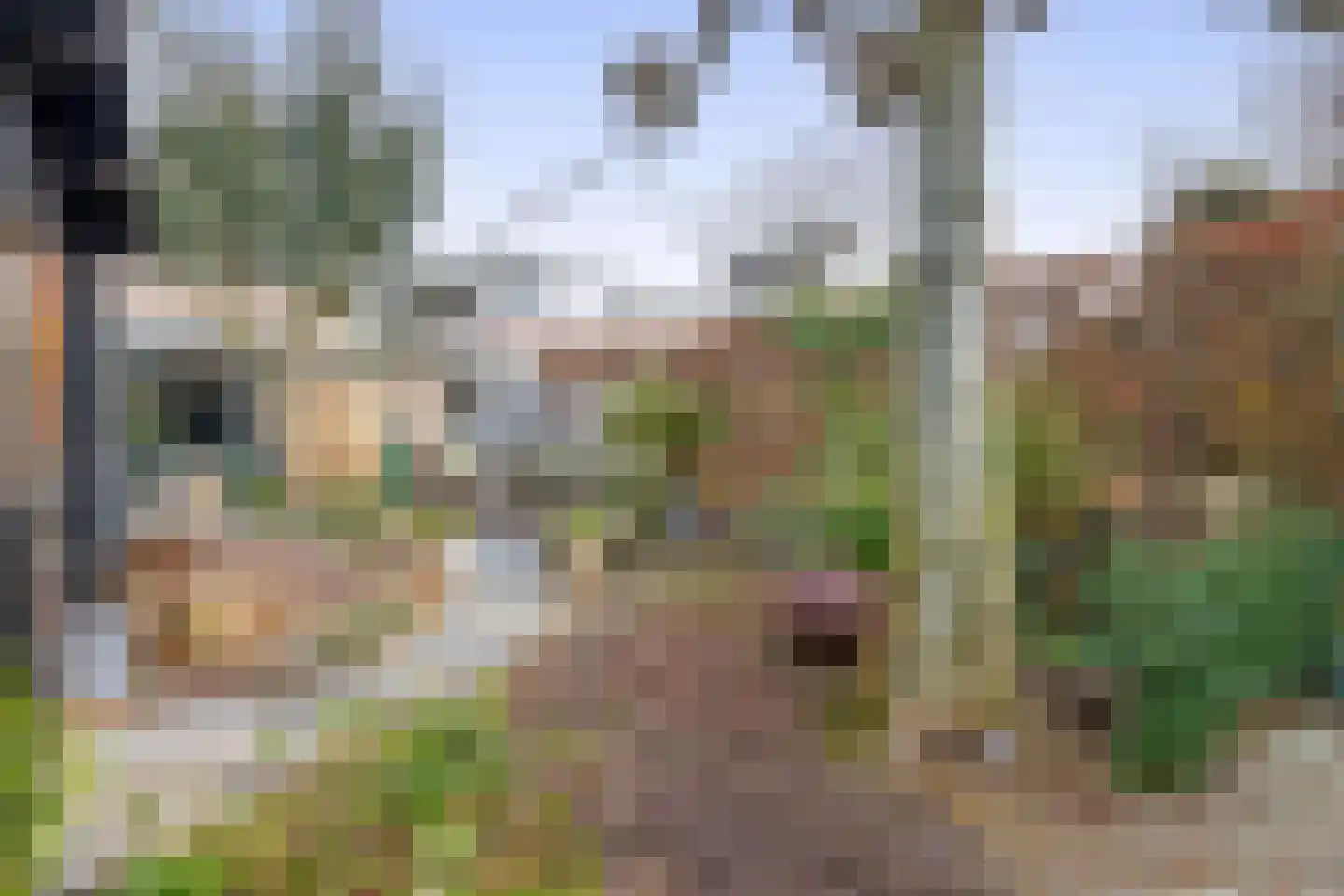 Raam 4 Kaatsheuvel thumbnail 25