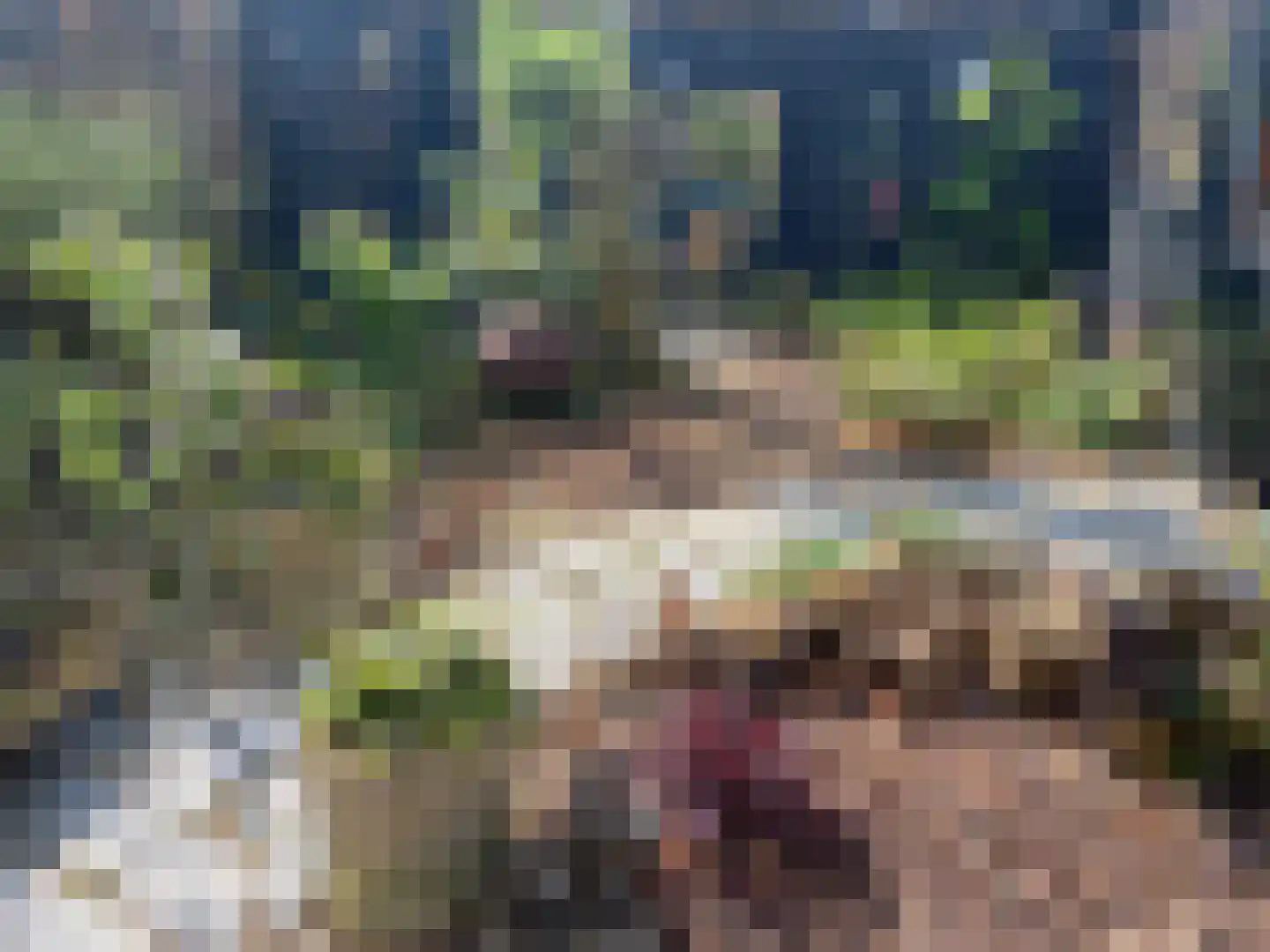 Raam 4 Kaatsheuvel thumbnail 26