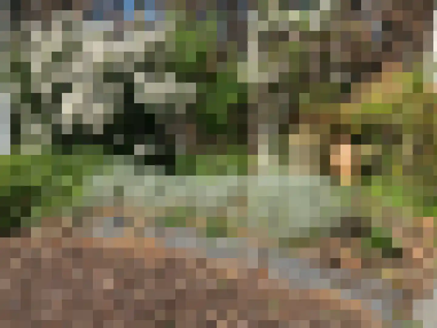 Raam 4 Kaatsheuvel thumbnail 27